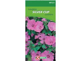 Lavatera Silver Cup