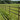 Paardenomheining Windsor - Groen - 2 25m - VOL