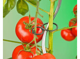 Nature Tomatenplantringen - 25 stuks